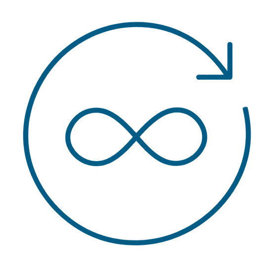 Icon Somatic Coaching